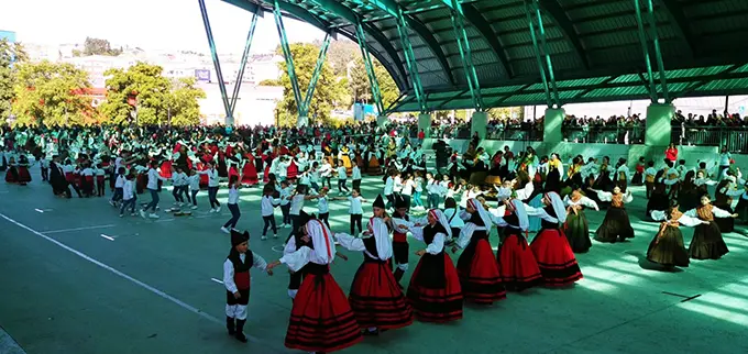 la asociaci&oacute;n Xiradela organiza el D&iacute;a da Mui&ntilde;eira en el Concello de Arteixo