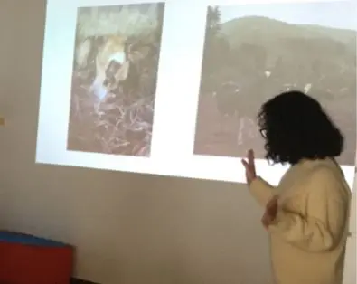 veterinaria rural