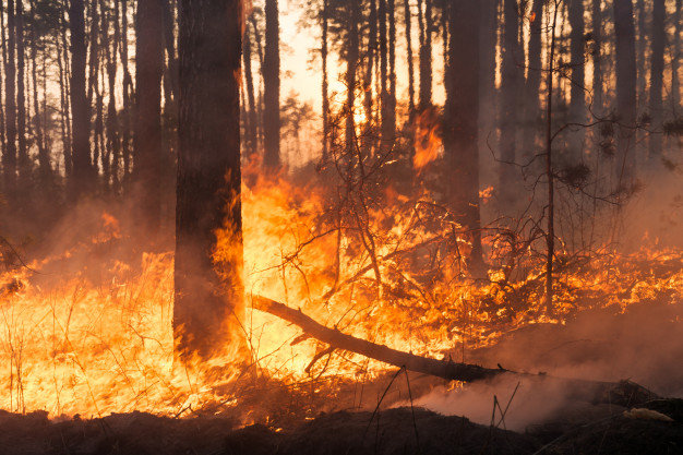 Controlado o incendio forestal rexistrado na parroquia de Suevos.