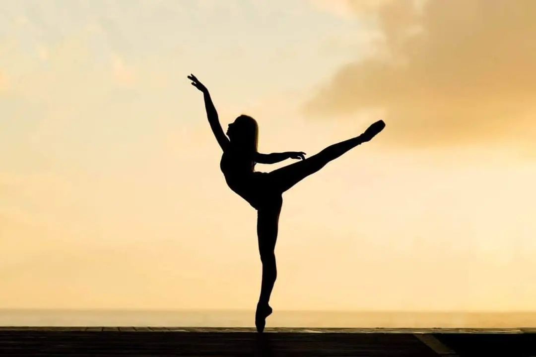 D&iacute;a Internacional de la Danza.