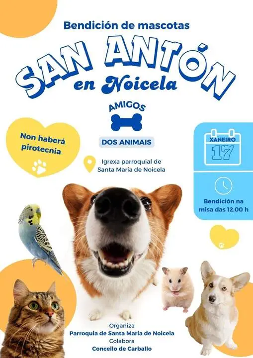 Bendici&oacute;n de mascotas en Santa Mar&iacute;a de Noicela.