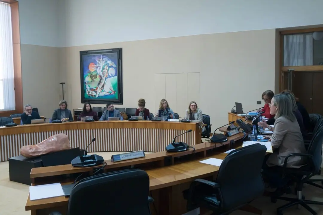 El Parlamento gallego demanda subir la edad de atenci&oacute;n psiqui&aacute;trica infanto-juvenil.