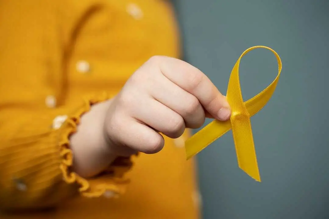 Aprobado el Plan de Seguimiento del Largo Superviviente de C&aacute;ncer Infantil.