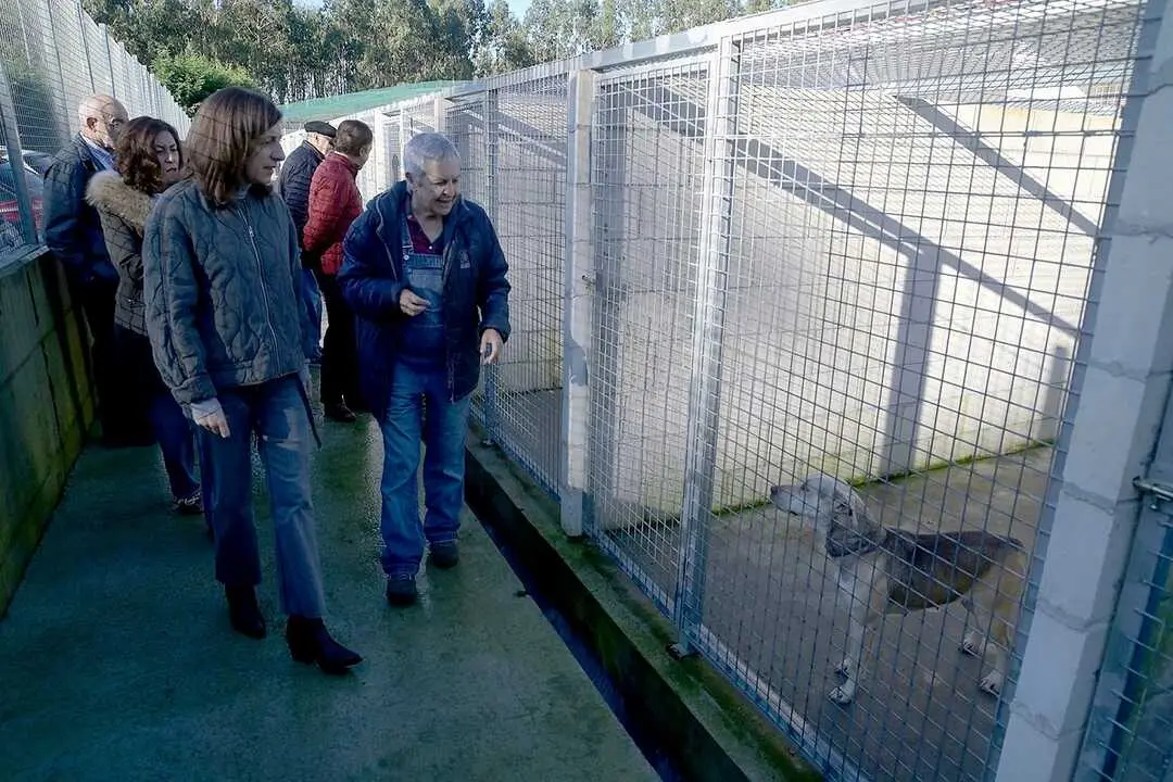 Por una adopci&oacute;n responsable de animales dom&eacute;sticos.