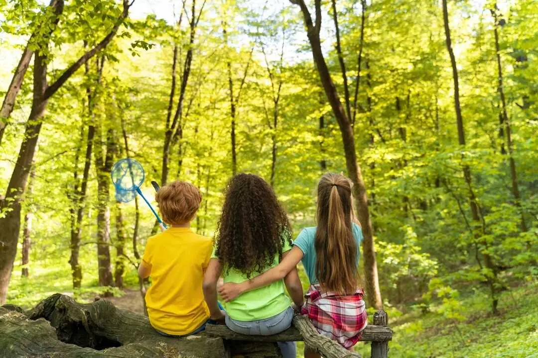 SUMAGUA 2026 ofrecer&aacute; deporte, ciencia y naturaleza para la infancia este verano en Montica&ntilde;o.