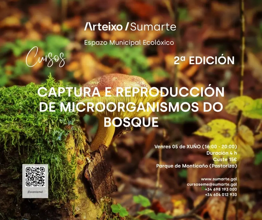 aller Captura y Reproducci&oacute;n de Microorganismos del Bosque en Arteixo.