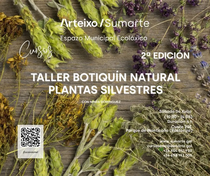 Arteixo organiza un taller para crear un botiqu&iacute;n natural con plantas silvestres.