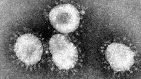 Foto: Wikipedia (Coranavirus)