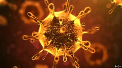 coronavirus