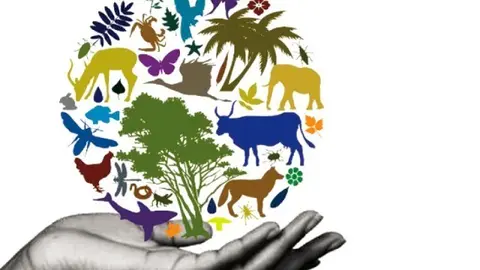 Protege su mundo, protege a la infancia