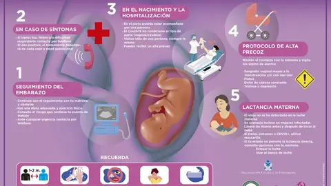 Embarazo, parto y puerperio