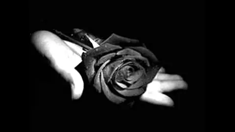 El 13 de junio, Homenaje en Galicia a fallecidos por la covid-10