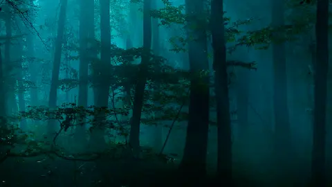 El miedo y el pis nocturno