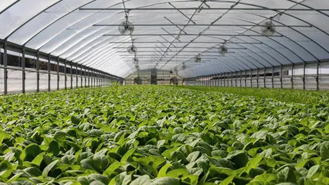 tasas mas bajas al sector agr&iacute;cola de Arteixo