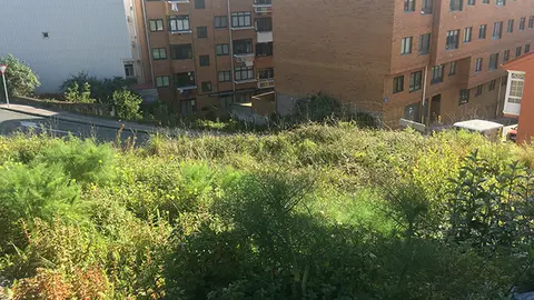 Praza Pastoriza