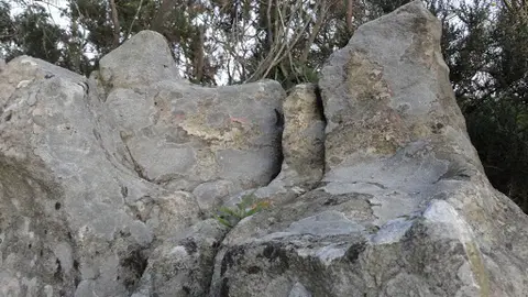 castro de Pastoriza y Laxobre en Arteixo se pondr&aacute;n en valor