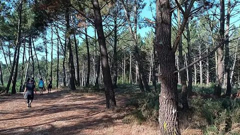 senderismo organizado por Turismo del Concello de Arteixo