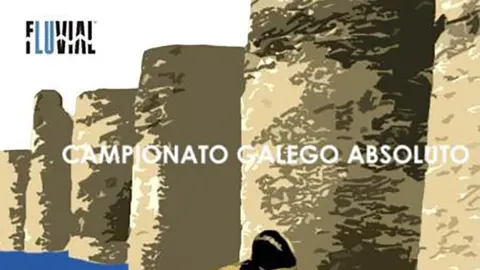 El Club Nataci&oacute;n Arteixo en el Campeonato gallego Absoluto de fin de a&ntilde;o
