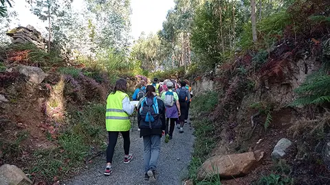 Rutas de sendeirismo organizadas por Departamento de deportes del Concello de Arteixo