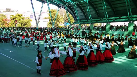 la asociaci&oacute;n Xiradela organiza el D&iacute;a da Mui&ntilde;eira en el Concello de Arteixo