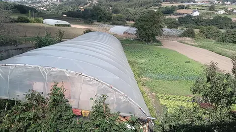 oferta de empelo agr&iacute;cola en Arteixo