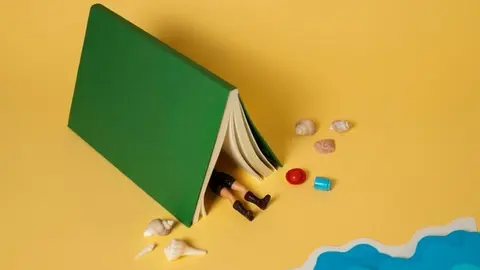 campa&ntilde;amento nadal apc