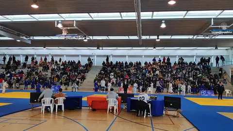 Judo Club Arteixo reuni&oacute; a judokas de Galicia