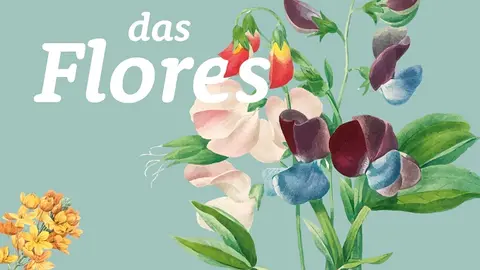 Arteixo celebra su festa das flores 2023