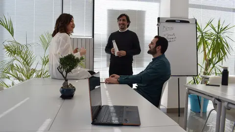 inteligencia de negocio bonsai bi