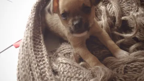 Bimba en bufanda