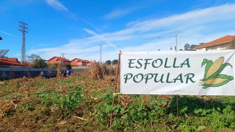 Nova edici&oacute;n da Esfolla Popular en La&ntilde;as (Arteixo)