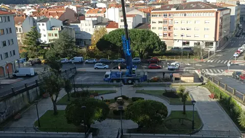 Corte de la palmera que estaba situada en el jard&iacute;n situado detr&aacute;s del ayuntamiento.
