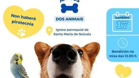 Bendici&oacute;n de mascotas en Santa Mar&iacute;a de Noicela.