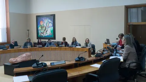 El Parlamento gallego demanda subir la edad de atenci&oacute;n psiqui&aacute;trica infanto-juvenil.