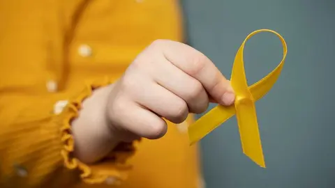 Aprobado el Plan de Seguimiento del Largo Superviviente de C&aacute;ncer Infantil.