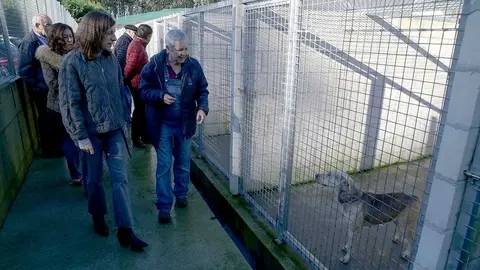 Por una adopci&oacute;n responsable de animales dom&eacute;sticos.