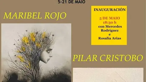 Arteixo acoge la exposici&oacute;n de arte "Sombras del alma".