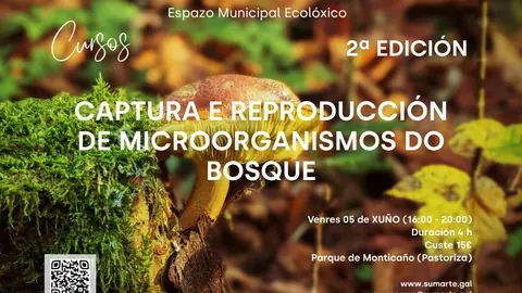 aller Captura y Reproducci&oacute;n de Microorganismos del Bosque en Arteixo.