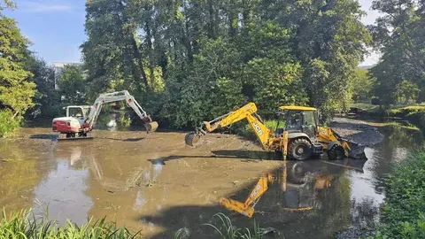 El concello de Arteixo realiza la limpieza de la laguna del paseo fluvial.